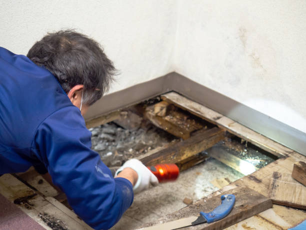 Best Crawl Space Mold Removal  in Copperopolis, CA