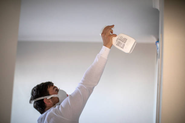 Best Office Mold Removal Services  in Copperopolis, CA