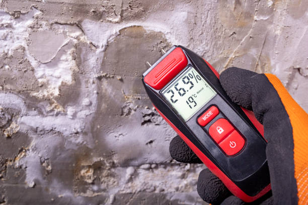Copperopolis, CA Mold Removal Company