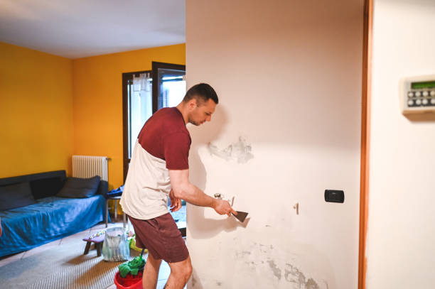 Best Local Mold Removal Service  in Copperopolis, CA