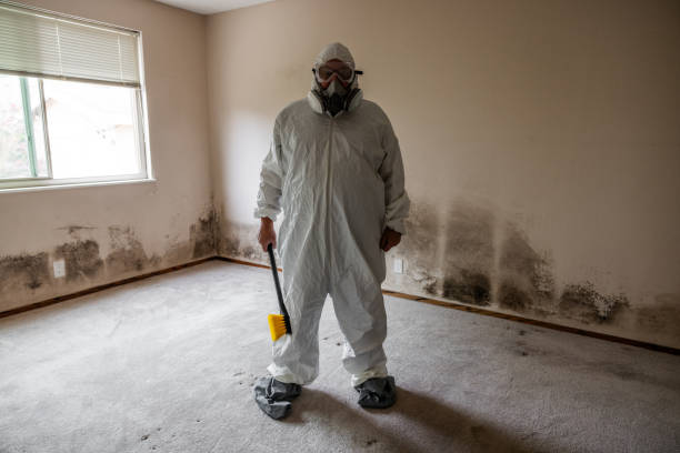 Best Attic Mold Removal  in Copperopolis, CA