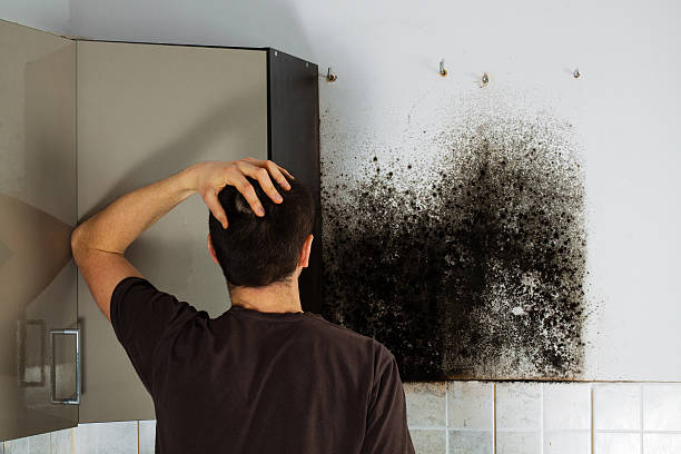 Best Professional Mold Removal  in Copperopolis, CA