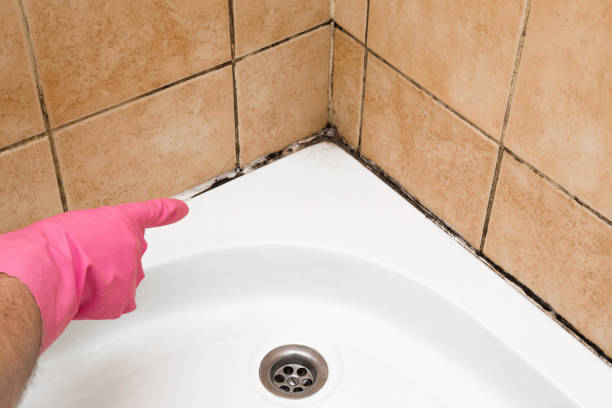 Best Commercial Mold Removal  in Copperopolis, CA